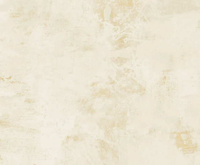 BALDOCER MOOD IVORY - 60X60 - 1,42 M² 3 BALDOCER MOOD IVORY - 60X60 - 1,42 M²